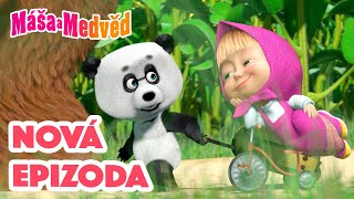 Máša a Medvěd 💥NOVÁ EPIZODA💥 Bratránek 💁🏼‍♀️🐼 Kolekce epizod 🎬 [upl. by Aicirpac]