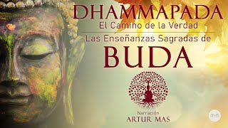 Buda  Dhammapada quotEl Camino de la Verdadquot Las Enseñanzas Sagradas de Buda Audiolibro Completo [upl. by Ric647]