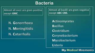 Gram Positive amp Negative Bacteria  My Medical Mnemonics [upl. by Gaeta]