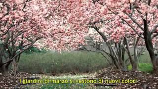 I giardini di marzo  Lucio Battisti video con testo [upl. by Sanford84]