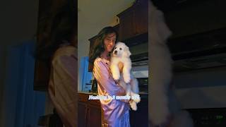 Watch My Adorable Great Pyrenees Puppy Grow  Monthly Updates puppy pets [upl. by Westfahl]