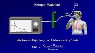 Pulmonary Function Tests PFT Lesson 3  Lung Volumes [upl. by Aynam]