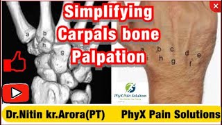 Simplifying Wrist Joint And Carpal Bone Palpation  Nitin Kumar Arora  PhyX Pain Solutions [upl. by Freberg]