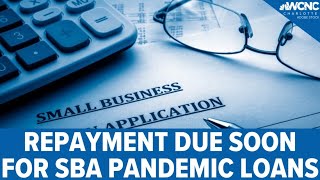 What small business owners need to know about repaying loans tied to pandemic relief [upl. by Nadine343]