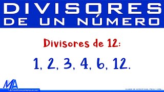 Divisores de un número [upl. by Billy]