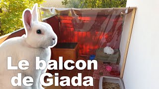 Aménagement dun balcon pour son lapin [upl. by Duster573]