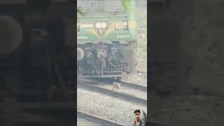 train se kutta ka accident 😭 shorts indianrailways train dogs accidenttrector liveaccdien [upl. by Ivan]