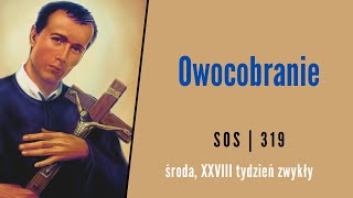 SOS 319 Owocobranie [upl. by Bibby882]