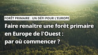 Faire renaître une forêt primaire en Europe de lOuest  par où commencer [upl. by Aicilic758]