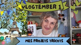 Vlogtember Ép 1  Mes projets tricot [upl. by Adnim]