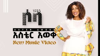 Aster Aweke  Temeles  Music Video Trailer  አስቴር አወቀ  ተመለስ  ሶባ  Soba Official video [upl. by Nigle]