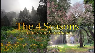 De veranderende Schoonheid van 4 Seizoenen in het Prachtige ARBORETUM KALMTHOUT drone shots 🇧🇪 4K [upl. by Seitz548]