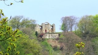 North Yorkshire Country Walk  Hackfall from Masham via the River Ure round [upl. by Dinsmore219]