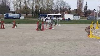 Cahil v Cornet Obolensky und Lucas Wenz  Platz 4 im MSpringen [upl. by Fannie181]