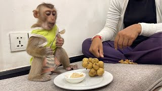 🔴Adorable monkey enjoys eating fruits Ep001 shorts monkey [upl. by Nolyak328]