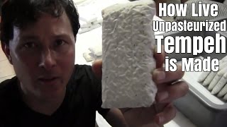 How Live Unpasteurized Tempeh is Made [upl. by Ruelle]