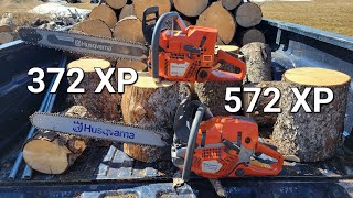 Stock 572xp vs ported 372xp How good have modern saws gotten [upl. by Mahtal836]