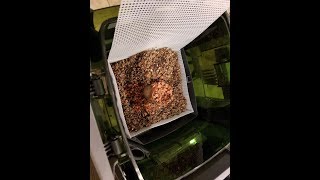 How to AFS BCB in canister filter the Lukeway  DIY way to get rid of nitrates [upl. by Aneeg]