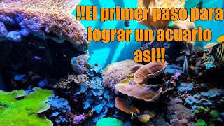 Parámetros para Acuario de Arrecife [upl. by Liagabba]