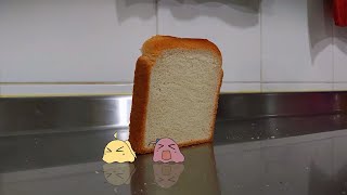 Bread falling over bocchi [upl. by Shama]