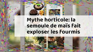 Mythe horticole la semoule de maïs fait exploser les fourmis [upl. by Enihpets299]