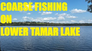 Coarse Fishing on Lower Tamar Lake  Quality roach and bonus fish on cage and method feeder [upl. by Abdulla]