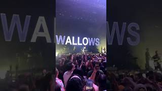 WALLOWS MODEL TOUR Lesliebutt [upl. by Nwahsat]