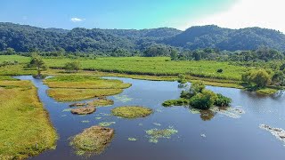 Café Historia y Sabor en Córdoba Veracruz  Conoce que lugares visitar en este bello lugar [upl. by Radcliffe]