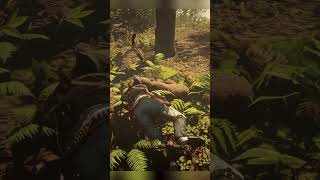 Got Killed by a Florida Panther while Hunting  rdr2 reddeadredemtion2 panther [upl. by Berey]