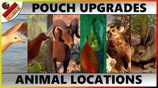 Horizon Forbidden West ALL ANIMALS LOCATIONS Animal Parts  Pouch Upgrades [upl. by Clevie256]