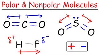 Polar and Nonpolar Molecules [upl. by Crofoot]