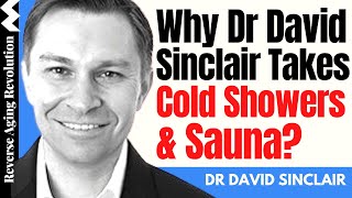 Why Dr David Sinclair Takes Cold Showers amp Sauna  Dr David Sinclair Interview Clips [upl. by Attey]