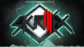 Skrillex Syndicate [upl. by Ecnedurp]