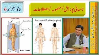 FTJAnatomy Lecture 6Anatomical positionanatomical plananatomical terms [upl. by Samaj]