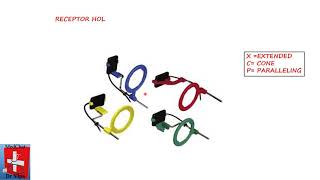 PARALLELING TECHNIQUE PERIAPICAL RADIOGRAPHY [upl. by Onairotciv]