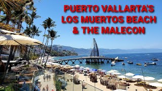 Exploring amp Eating in Los Muertos Beach amp The Malecon  Puerto Vallarta Mexico  What to Do amp Eat [upl. by Laet]