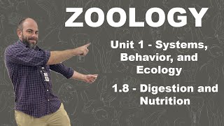 Zoology  18  Digestion and Nutrition [upl. by Atiugram132]