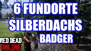 6 Locations Silber  Dachs Badger Red Dead Redemption 2 Online Deutsch [upl. by Collis]