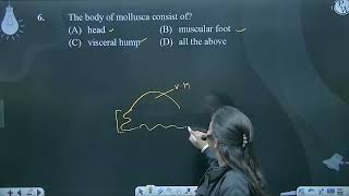 The body of mollusca consist of [upl. by Keifer]