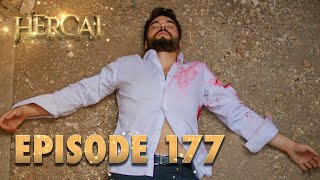 Hercai  Herjai Urdu  Episode 177 [upl. by Haakon]