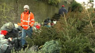 Kerstbomen inzamelen voor geld [upl. by Sylas797]