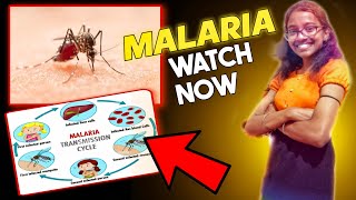 Malaria 🦟  Explanation In Hindi  Bsc Nursing  MSN [upl. by Acinyt]