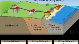 Amplification and Liquefaction Animation Educational [upl. by Jahdiel]