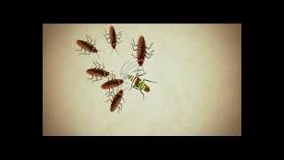 Hit Anti Roach Gel  Malayalam TVC [upl. by Annawik]