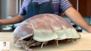 GRAPHIC LIVE GIANT Isopod Fried Rice  Real Life Pokemon Kabuto  Isopod Cooking Hour [upl. by Ilzel]