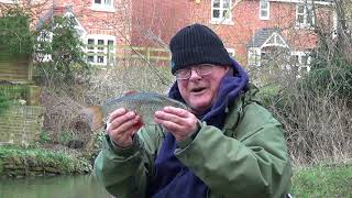 EASY FISHINGLedgering with Bread on a Small River [upl. by Stacee]