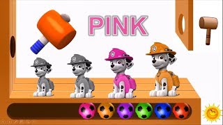 Aprende los Colores La Patrulla Canina en Ingles con Balones de Futbol by Sunny Happy Kids [upl. by Ardath]