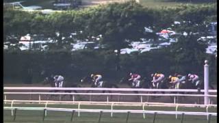 AP Indy  1992 Belmont Stakes G1 [upl. by Weintrob]