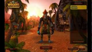 World of Warcraft  Zygor´s Level Guide 1  80 unter 7 Tage  deutsch  german [upl. by Rains]