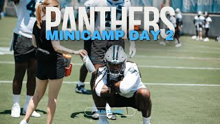 Panthers WrapUp Minicamp Day 2 News amp Update [upl. by Rella]